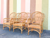 Set of Six Island Style Rattan and Cane Arm Chairs