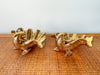 Pair of Brass Clam Shells