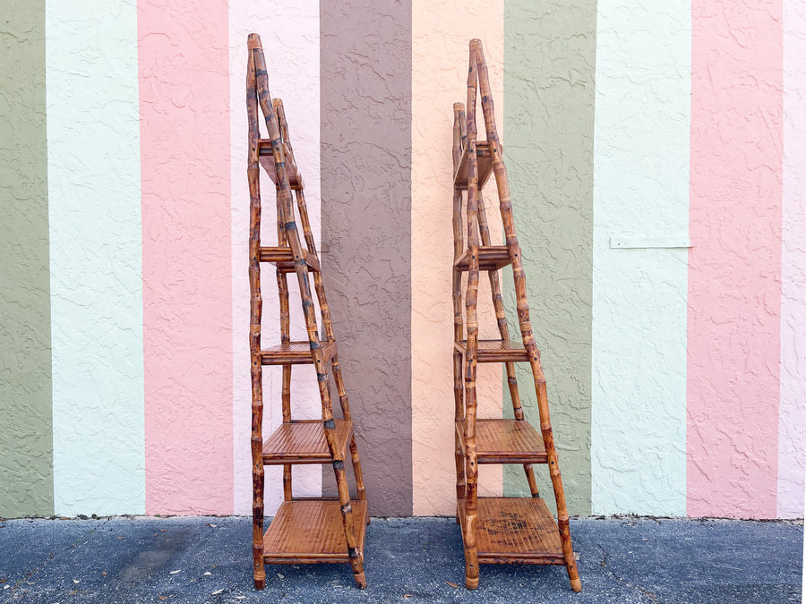 Pair of Tortoiseshell Etageres