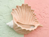 Blush Shell Wall Pocket