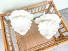 Pair of Seashell Wall Sconces