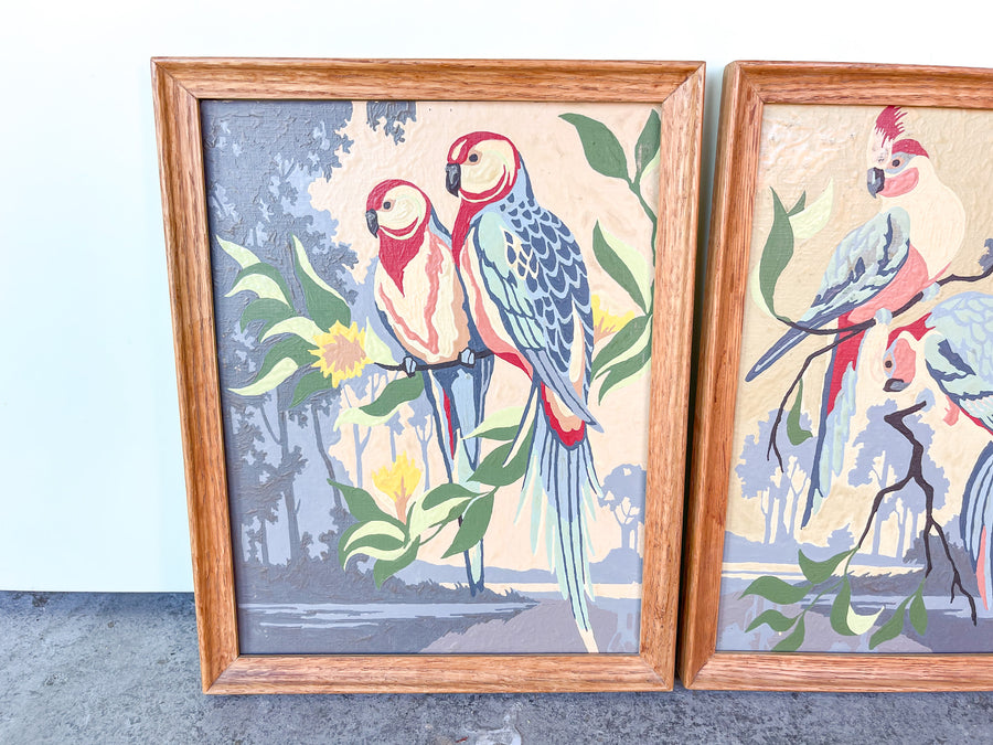 Pair of 1970s Paint by Number Parrot Art