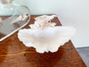 Seashell and Lucite Serving Set