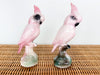 Pair of 1950s Cockatoos