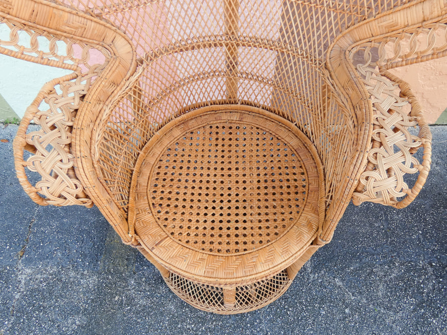 Pair of Fab Natural Peacock Chairs