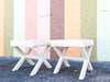 Pair of Palm Beach Chic X Benches
