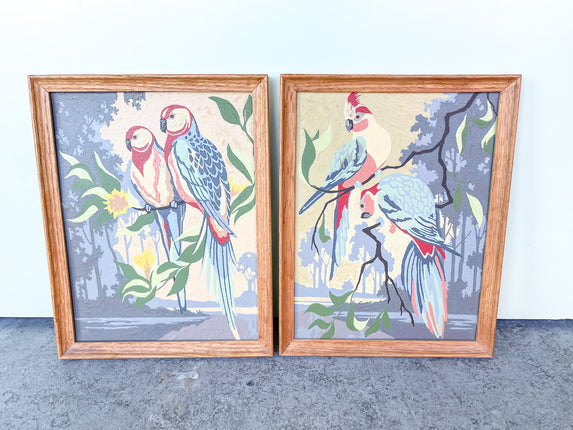 Pair of 1970s Paint by Number Parrot Art