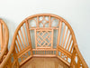 Pair of Brighton Style Rattan and Cane Chairs