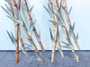 Faux Bamboo Metal Wall Art
