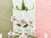 Porcelain Pink Rose Tole Chandelier