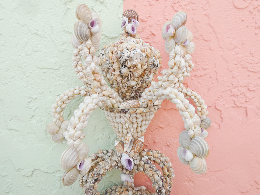 Pair of Shell Encrusted Wall Sconces