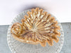 Tortoiseshell Ceramic Shell Bowl