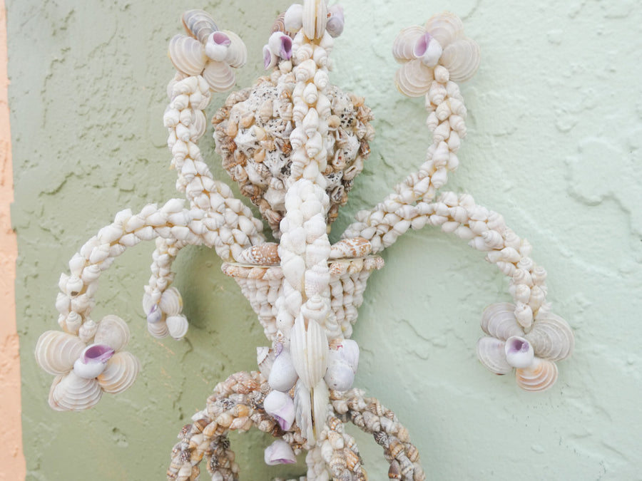 Pair of Shell Encrusted Wall Sconces