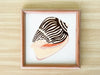 Set of Four Ceramic Hand Painted Shell Wall Art