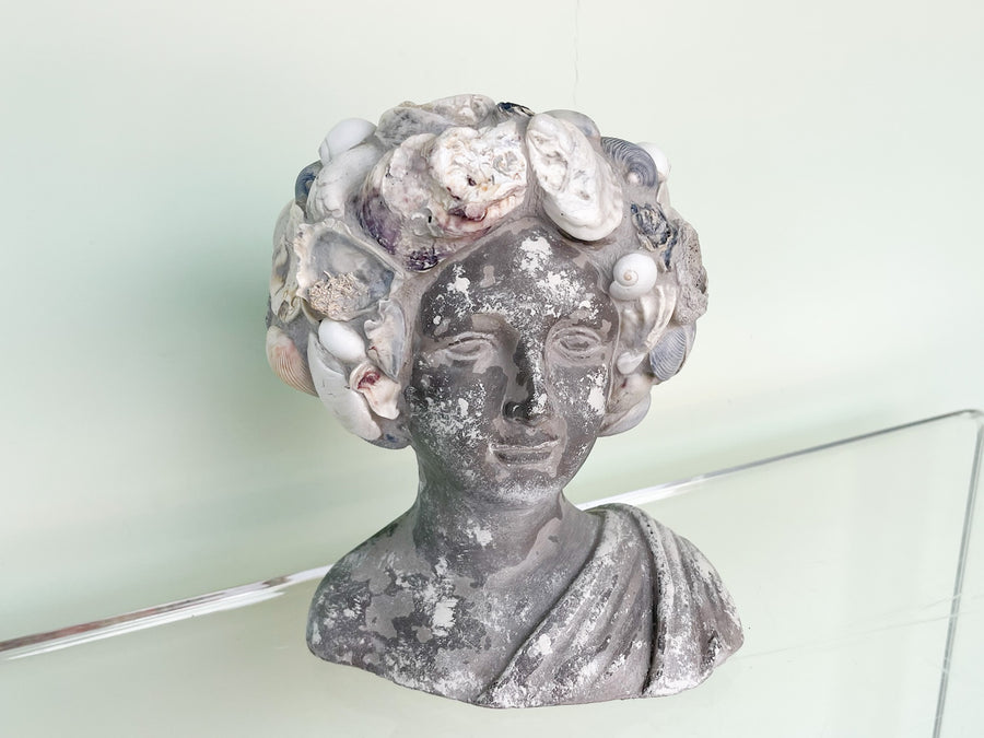 Shellegance Bust Cachepot