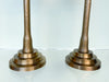 Pair of Large Brass Palm Candlesticks