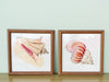 Set of Four Ceramic Hand Painted Shell Wall Art