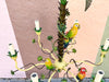 Tropical Parrot Tole Chandelier