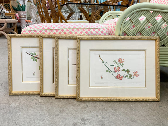 Set of Four Floral Prints by Charolette Ann Meckley