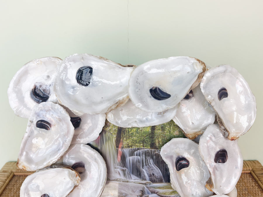 Oyster Shell Frame