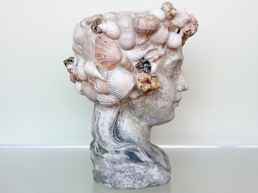 Shellegance Bust Cachepot