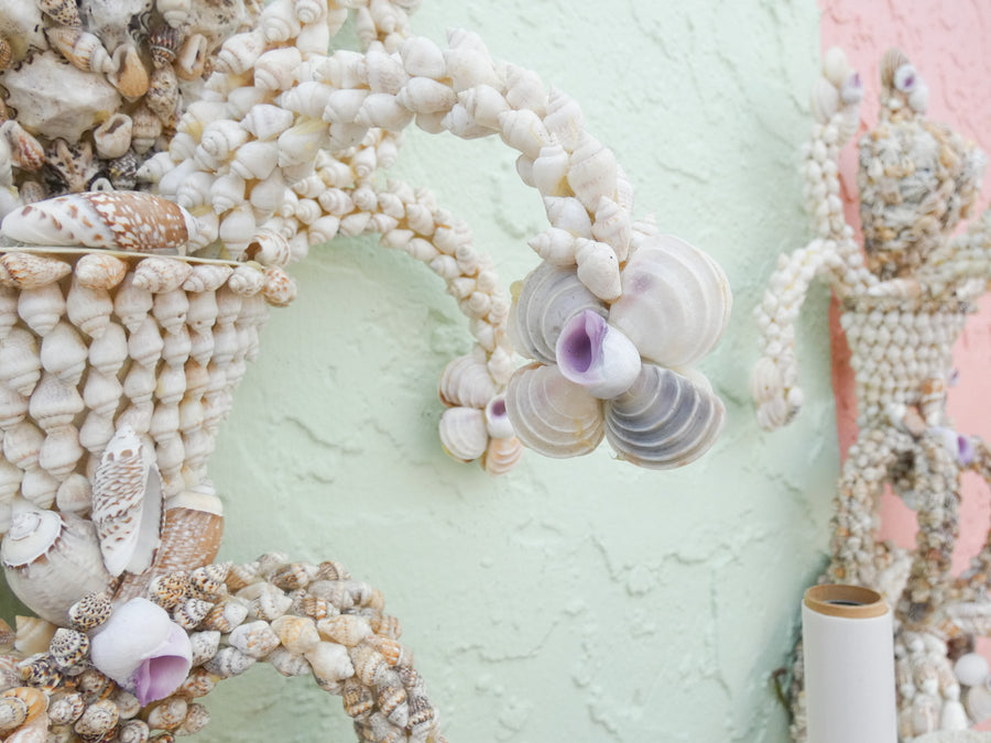 Pair of Shell Encrusted Wall Sconces