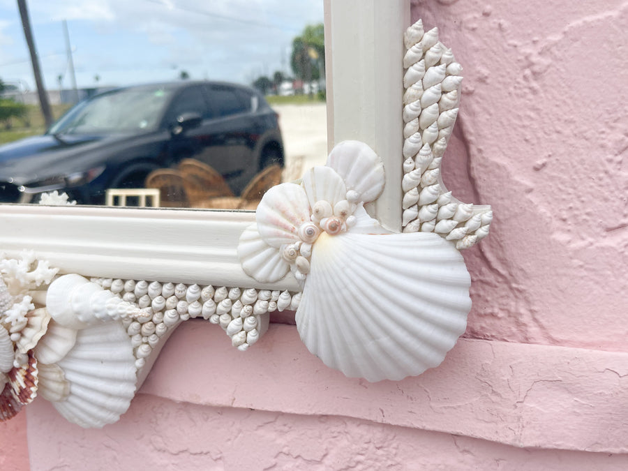 Unique Scallop Shell Mirror