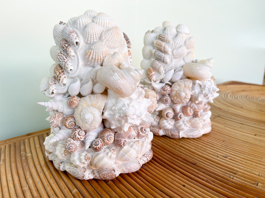 Pair of Shellegance Bookends