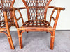 Pair of Rattan Balloon Back Chairs