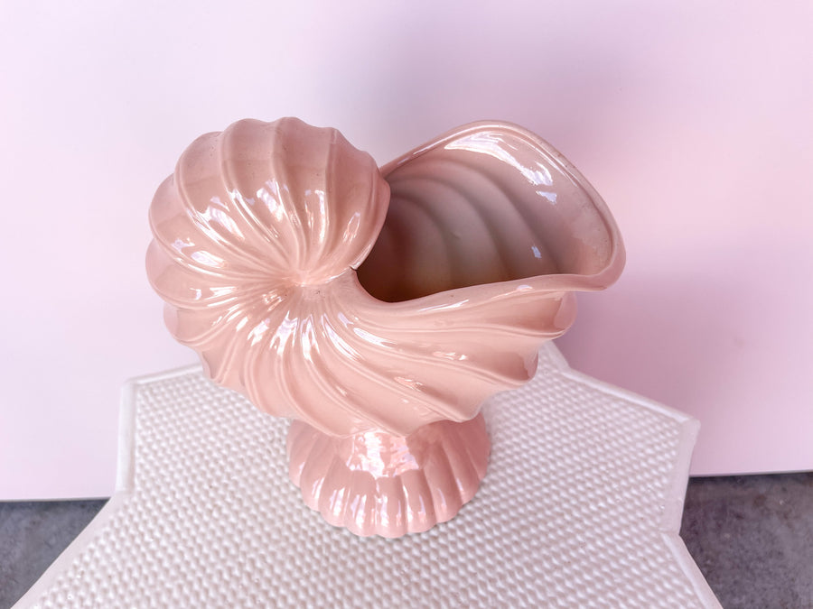 Blush Seashell Cachepot