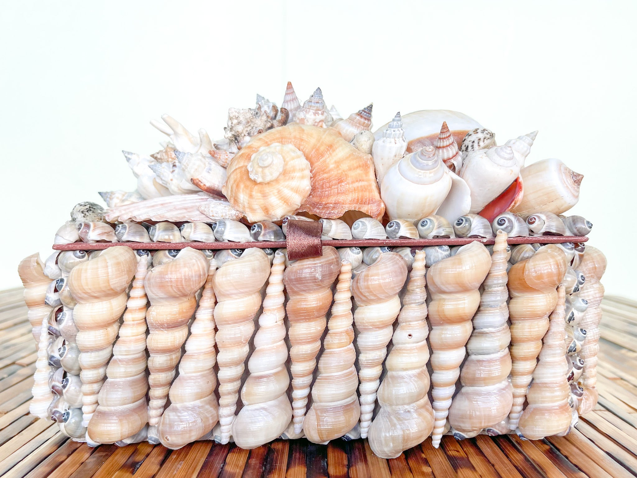 Shell Inspired Storage Box Palm Beach Regency