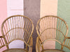 Set of Six Island Style Rattan and Cane Arm Chairs