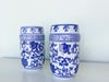 Pair of Blue and White Vases