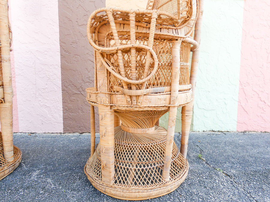 Pair of Fab Natural Peacock Chairs