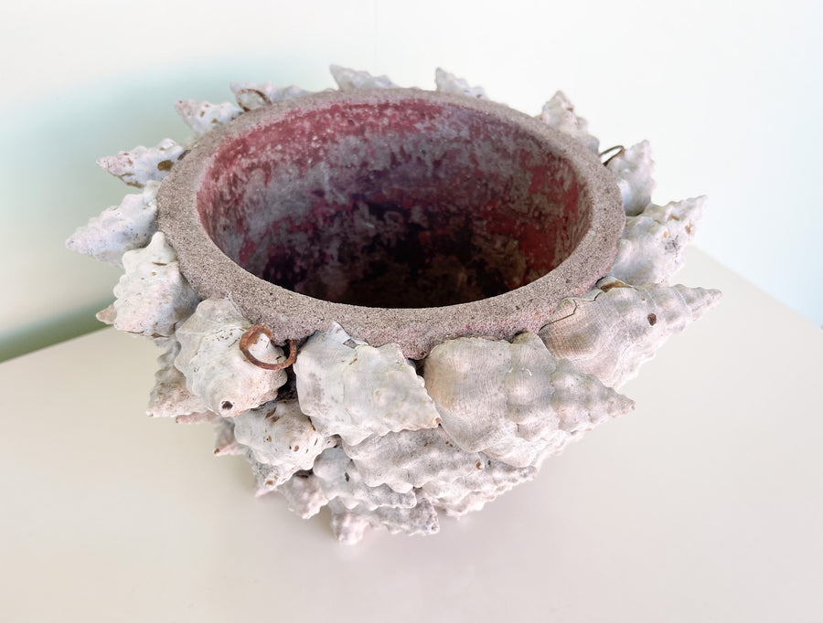 Natural Shell Cachepot