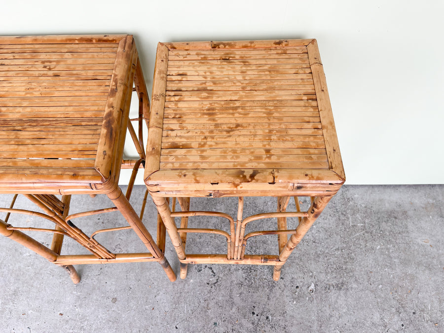 Pair of Tortoiseshell Plant Stands
