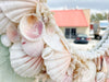 Cute Oval Seashell Mirror