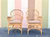 Set of Six Island Style Rattan and Cane Arm Chairs