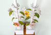 Pair of Tole Flower Lamps