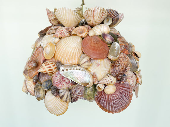 Petite Old Florida Shell Chandelier