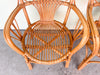 Pair of Cute Coastal Rattan Arm Chairs