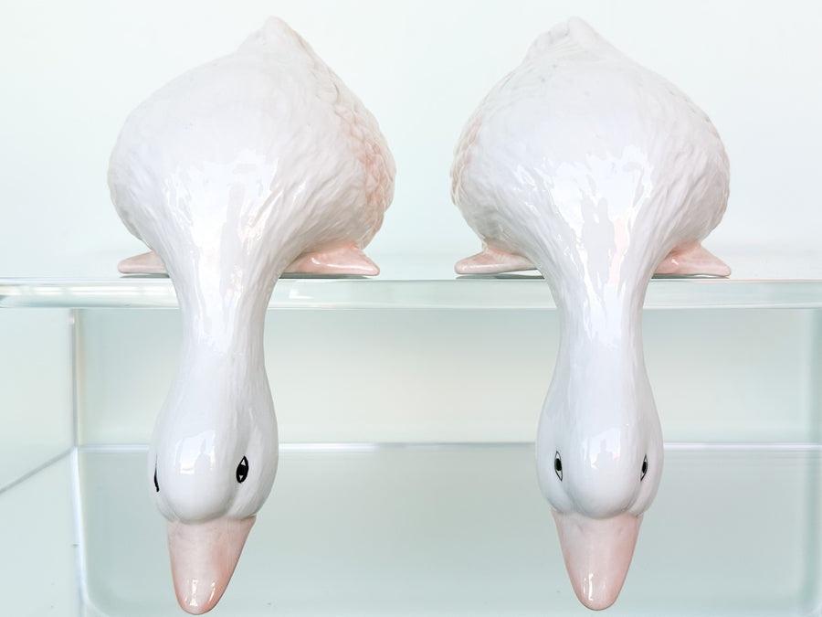 Pair of Adorable Ducks