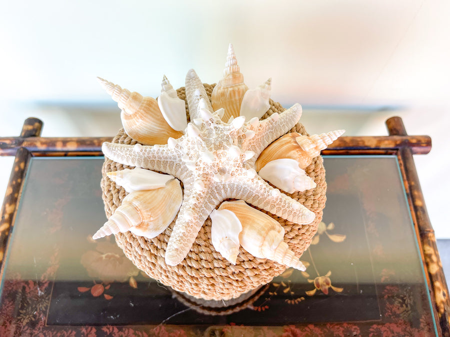 Starfish Basket