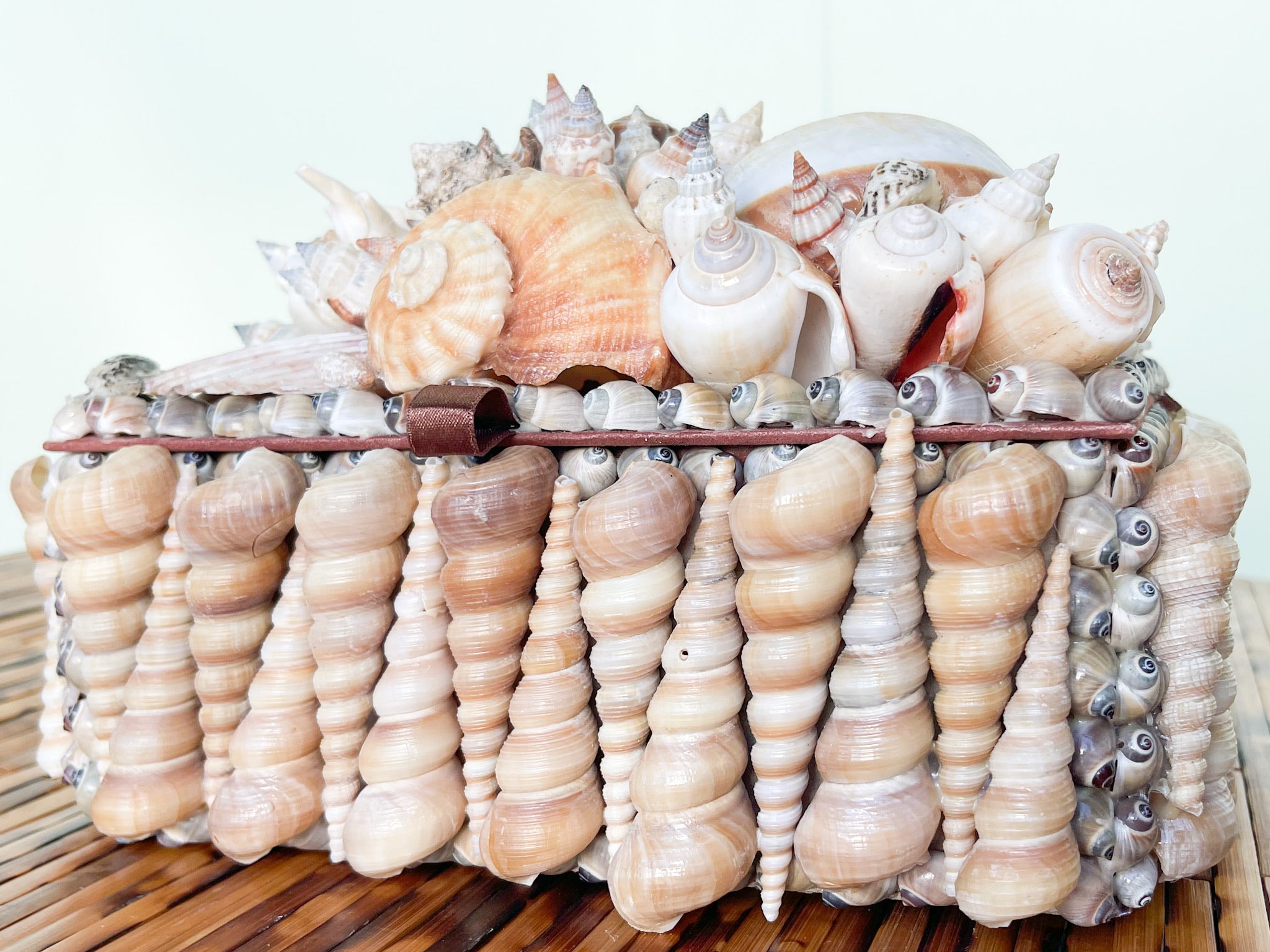 Large Shell Keep Palm Beach Regency