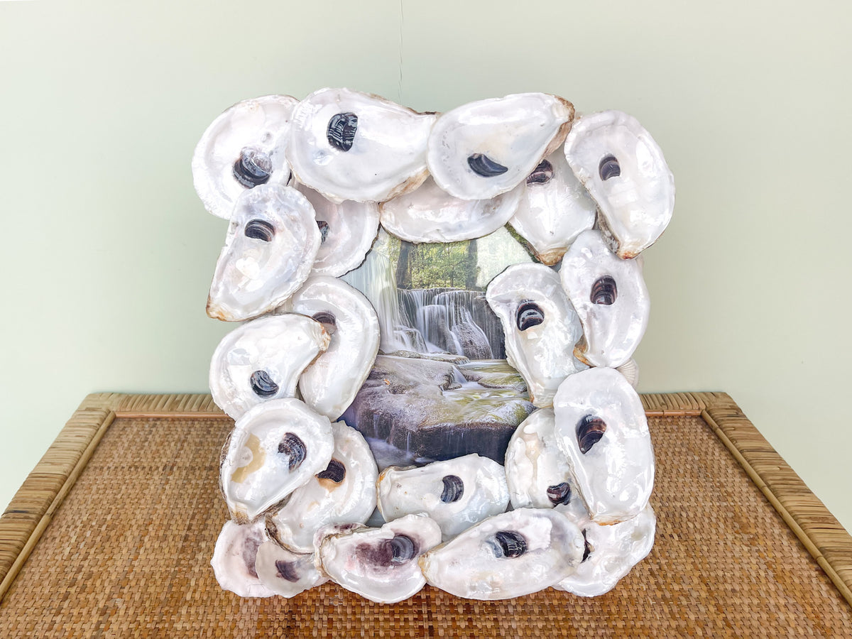 Oyster Shell Frame