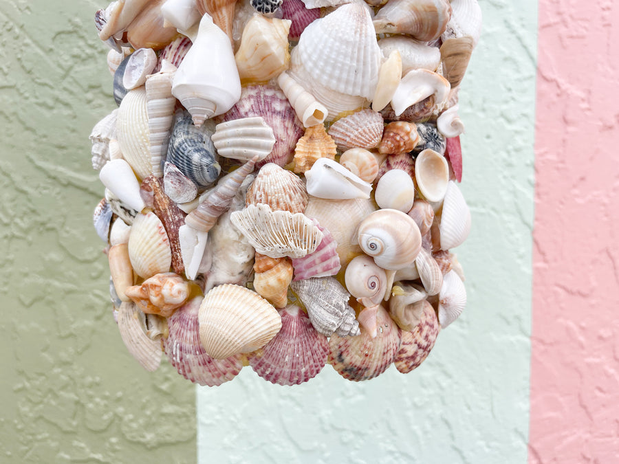 Warehouse Wednesday Sale: Shell Chic Chandelier