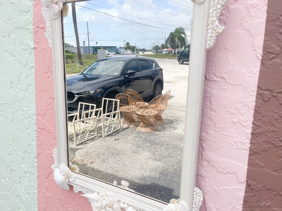 Unique Scallop Shell Mirror