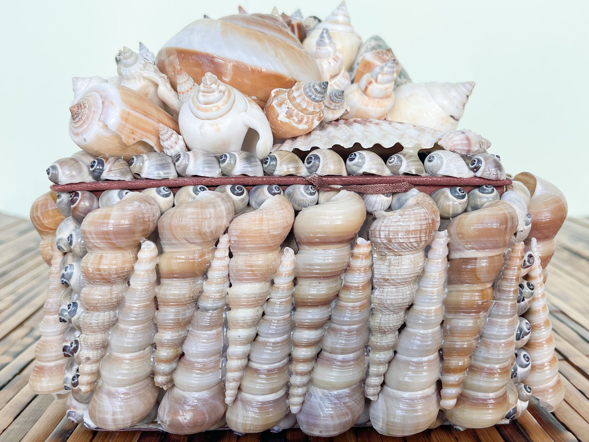 Large Shell Keep Palm Beach Regency