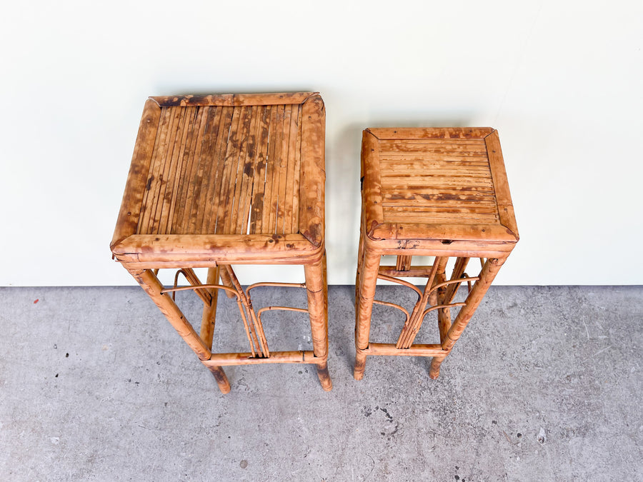 Pair of Tortoiseshell Plant Stands