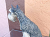 Darling Schnauzer by The Townsends